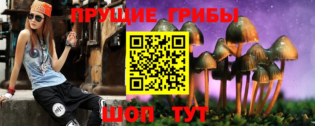 Галлюциногенные грибы прущие грибы  Вход с VPN  Алушта 